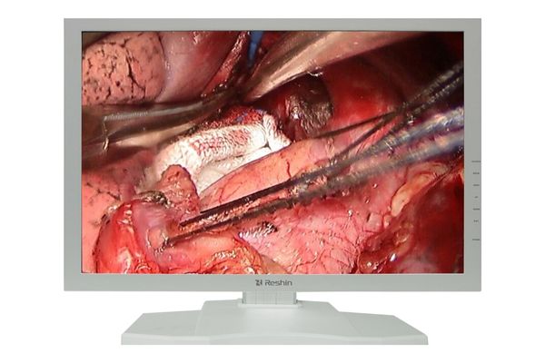 Surgical & Endoscopy Monitors
