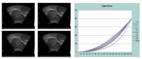 Multi-Group Gamma Correction