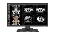 Multi-Channel Independent Display