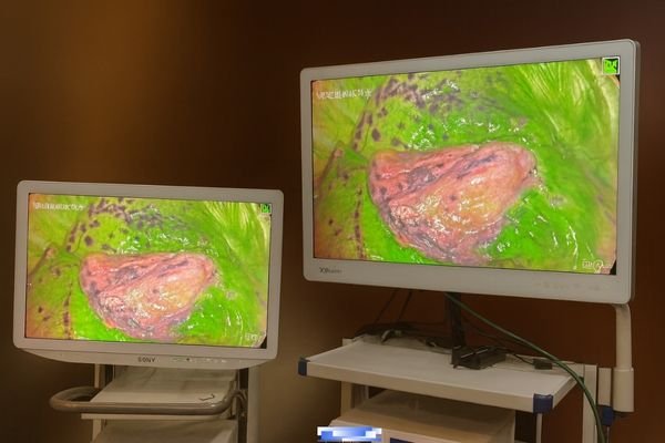 The back panel of a monitor, showing a wide array of input ports