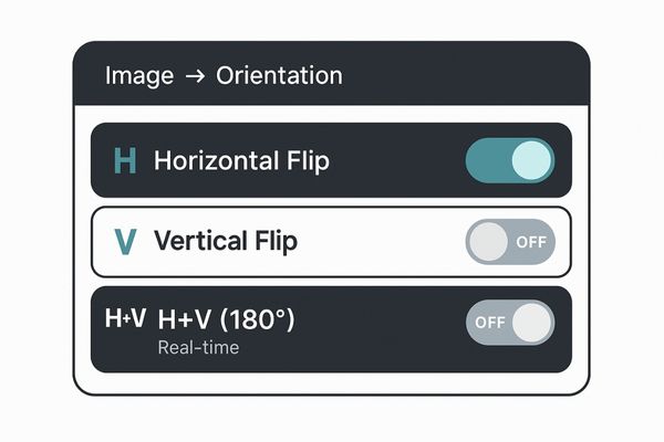 User interface showing separate H-Flip and V-Flip toggles