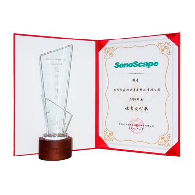 2024 Excellent Delivery Award trophy and certificate — Jialida Specialty Display Technology honored by SonoScape
