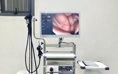 Endoscopy system with medical monitor displaying real endoscopic view on an equipment cart