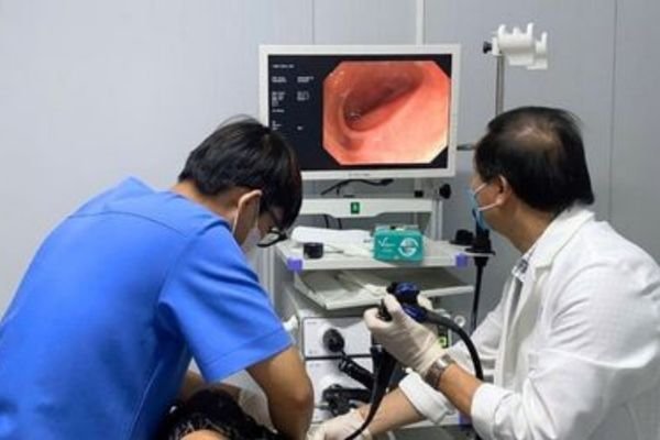 Endoscopy display solution with medical monitor showing internal endoscopic imaging during examination