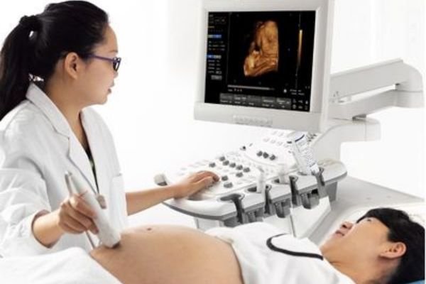 Ultrasound display solution with medical monitor showing obstetric ultrasound imaging during examination