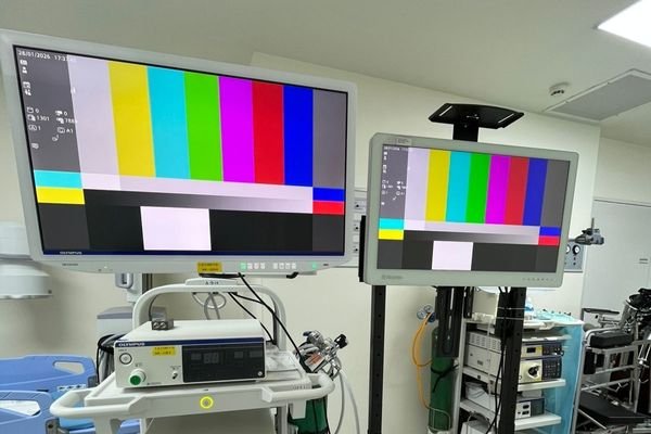 Surgical display connected to an endoscopy equipment chain while showing a standardized test pattern