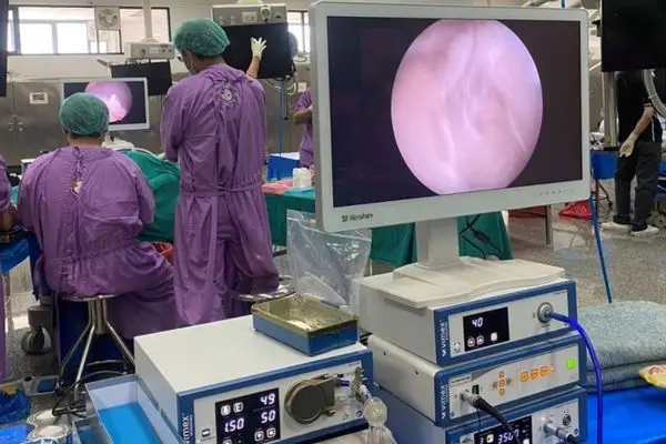 Reshin medical monitor integrated with a Vimex endoscopy system during a clinical training demonstration